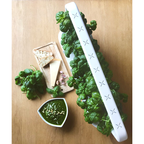 Click & Grow Smart Garden 9 - White