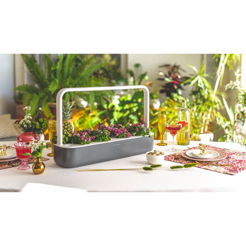 Click & Grow Smart Garden 9 - Grey