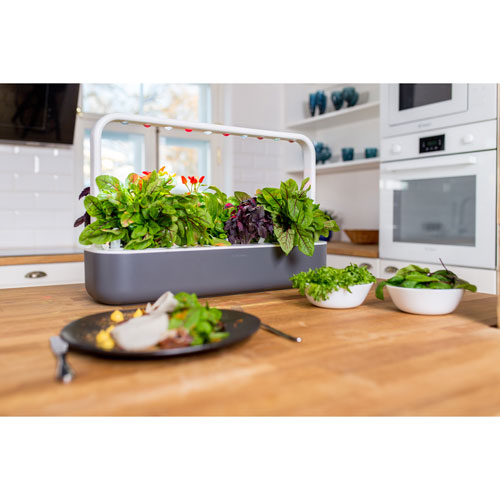 Click & Grow Smart Garden 9 - Grey