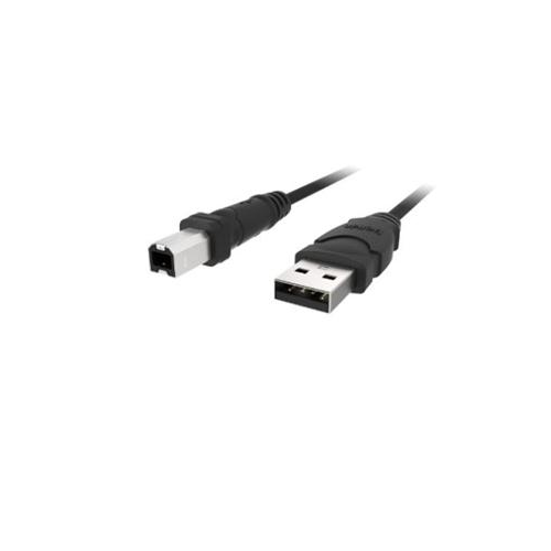 BELKIN-USB CABLE-4 PIN USB TYPE A-4 PIN USB TYPE B (M)-10 FT F3U133B10