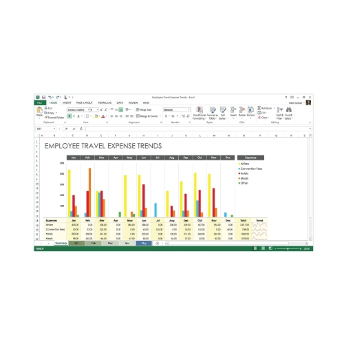 Microsoft Office 2013 Professional