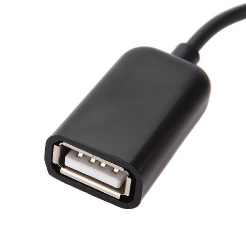 Insignia™ OTG (On The Go) Micro USB-to-USB Type-A Adapter Cable Black  NS-MOTGD - Best Buy