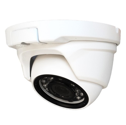 Eyeball 1080P IP CCTV Camera SA-D2-IP2