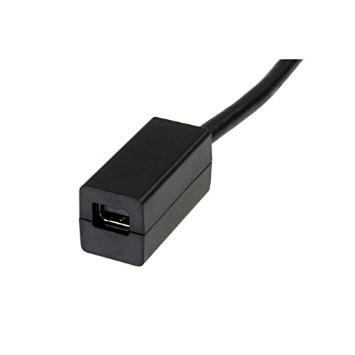 6in DisplayPort to Mini DisplayPort Video Cable Adapter - M/F - DP Male to Mini DP Female - Black