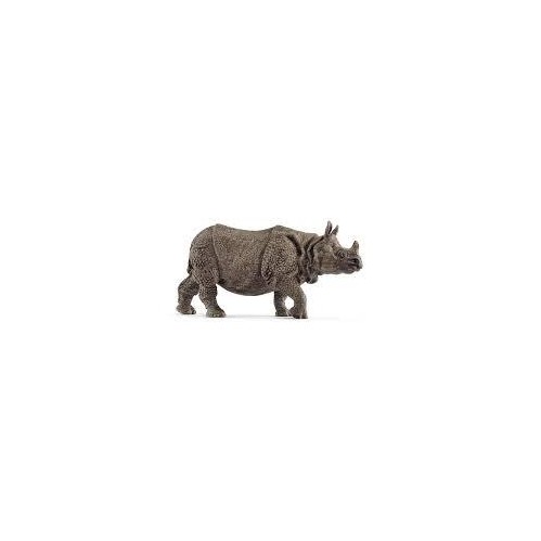 Wild Life: Indian Rhinoceros