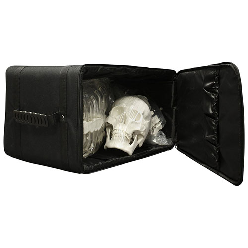 Modèle de squelette humain de 49 cm de Walter Products