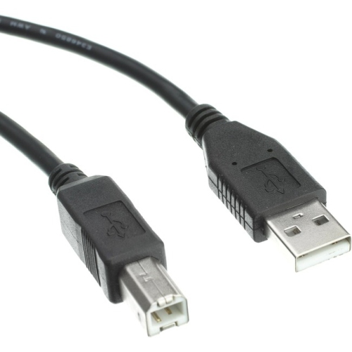 AXIOM  USB 2.0 Type-A to Type-B Cable M/m 10Ft USB2Abmm10-Ax