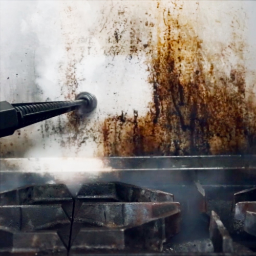 Dupray Hill Injection Commercial-Grade Steam Cleaner 347°F Stainless Steel, Heavy-Duty Floor & Car Detailing, Edge Cleaning