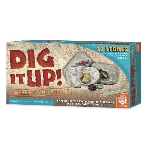 Dig It Up! Minerals and Fossils
