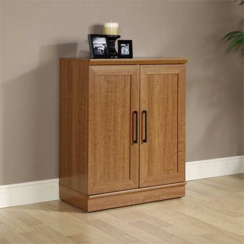 Sauder Homeplus Base Cabinet in Sienna Oak Finish