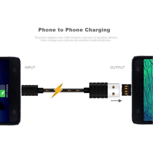 Adaptateur USB-C 3.1 mâle vers USB femelle OTG de axGear pour tablette Android