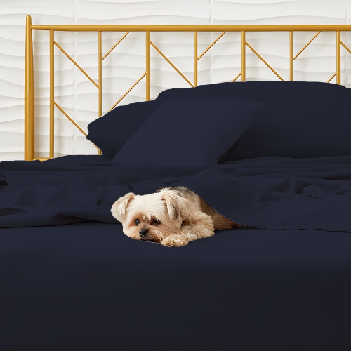 CONFORT ÉPITATIQUE - Ensemble de draps doux, soyeux et légers - Microfibre brossé - Enveloppe profonde - Ensemble de 4 pièces