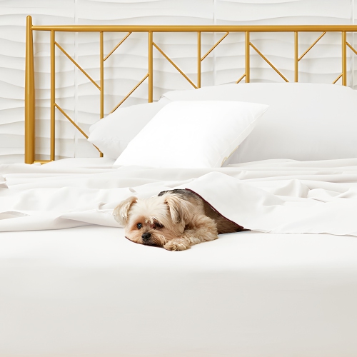 CONFORT ÉGYPTIEN – Ensemble de draps légers soyeux – Micro brossé – Passe profonde – Ensemble de 4 pièces