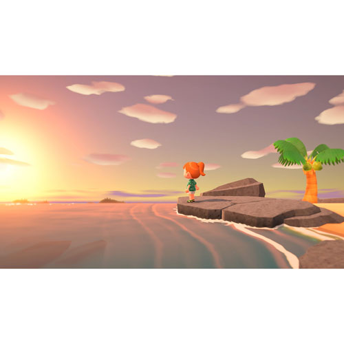 Image 12 of 16.. Animal Crossing: New Horizons