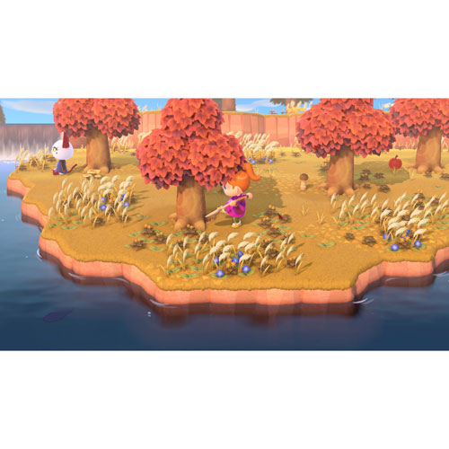 Image 14 of 16.. Animal Crossing: New Horizons