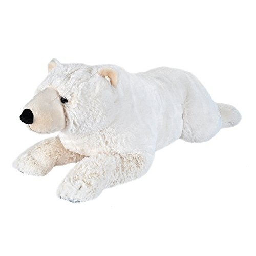 teddy record a message