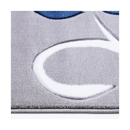 Ladole Rugs Rose Floral Pattern Area Rug Carpet in Grey Blue 5x8