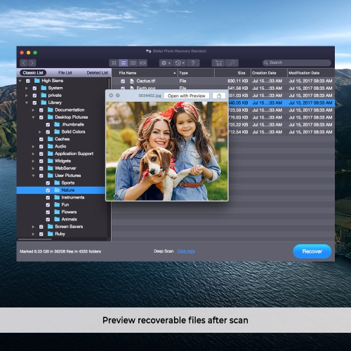 Stellar Photo Recovery Software V11 | Mac | Standard | 1 PC 1 Year | - Digital Download