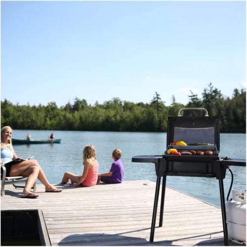 Porta Chef Series Portable Propane BBQ