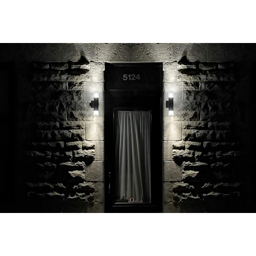 BAZZ Luvia LED Outdoor Wall Fixture in Black