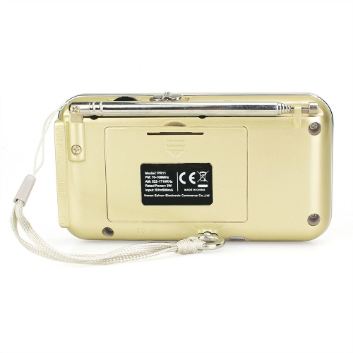 Haut-parleur portatif AM/FM radio MP3 lecteur de musique TF Carte microSD Media d’axGear