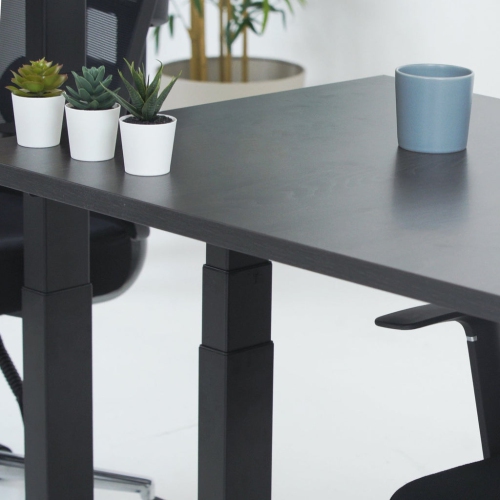MotionGrey Height Adjustable German Electric Dual Motors Sit to Stand Computer Home and Office Standing Desk Riser - Black Frame