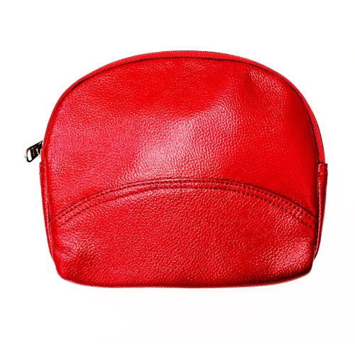 Ashlin Leanah Leather Cosmetic Bag - Red
