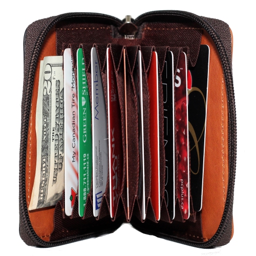 Étui à fermeture à glissière accordéon pour cartes de crédit d’Ashlin - Brun moyen