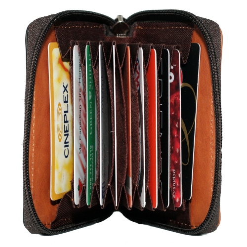 Étui à fermeture à glissière accordéon pour cartes de crédit d’Ashlin - Brun moyen