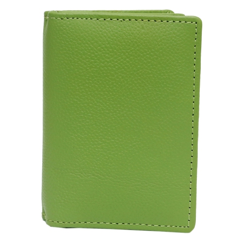Ashlin Abriella Leather Credit Card Caddy - Green