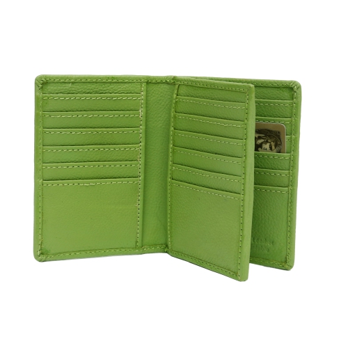 Porte-cartes de crédit en cuir Abriella d’Ashlin - Vert