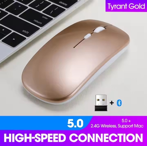 Wireless Rechargeable Silent Ergonomic Mouse Slim Dual Model Bluetooth & USB 2.4G for PC Laptop iMac Mac Pro, Desktop Computer, Chromebook, iPhone