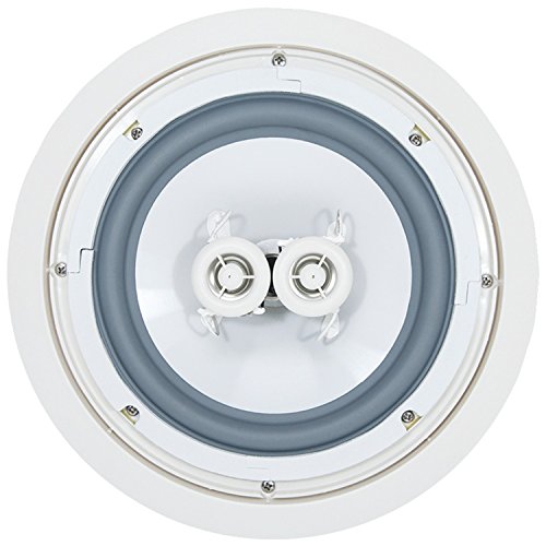 OSD AUDIO  Ice800Ttwrs Weather Proof Dual Voice Coil Speaker