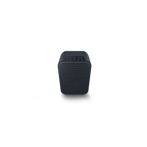 Bluesound Pulse Flex 2i Enceinte de diffusion sans fil portable - Noir