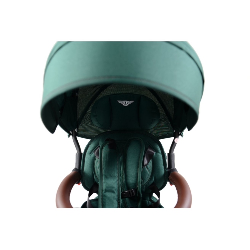 Bentley 6-in-1 Baby Stroller/Kids Trike - Spruce Green