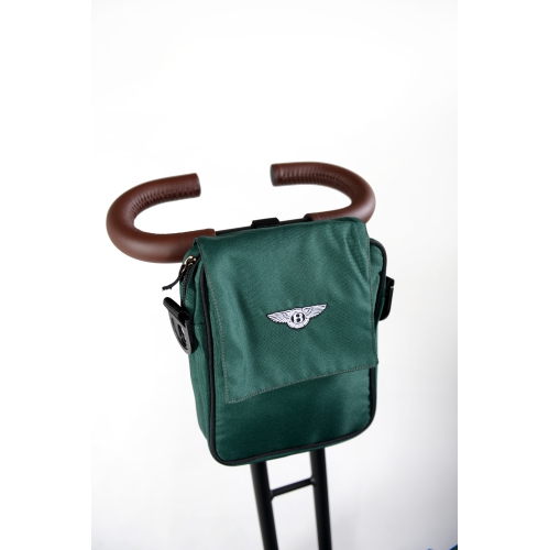 Bentley 6-in-1 Baby Stroller/Kids Trike - Spruce Green