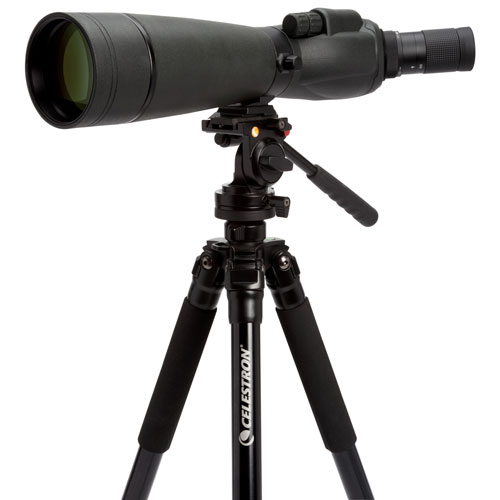 Celestron Trailseeker 20x-60x Spotting Scope