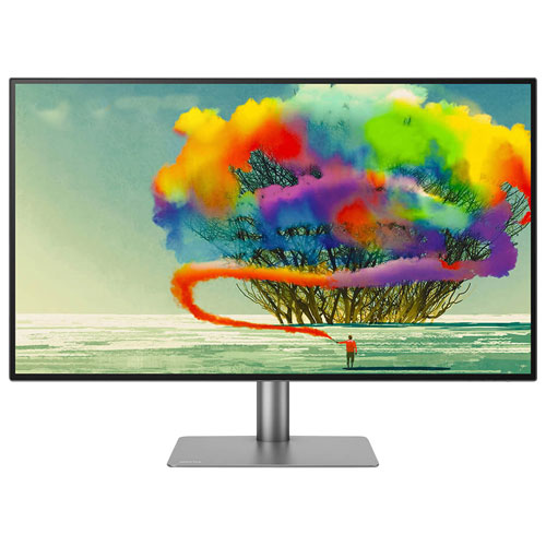 BenQ DesignVue 31.5" 4K Ultra HD 60Hz 5ms GTG IPS LED Monitor - Grey