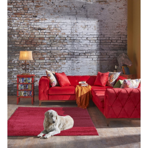 Meknes Shag Rose Red Area Rug 2'7" x 4'11"