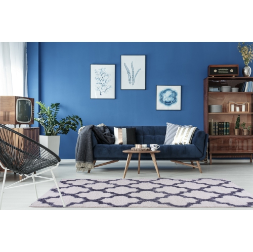 Fes Shaggy White Dark Gray Area Rug 3'11" x 5'7"