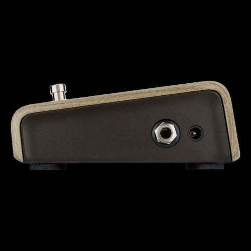 L.R Baggs Align Series Active DI Pedal