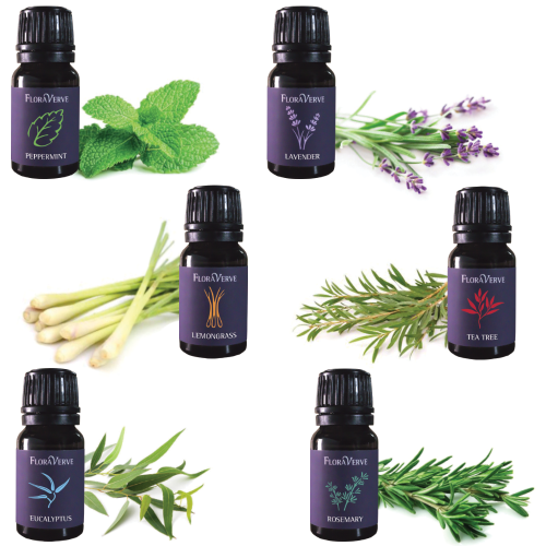 Floraverve Exclusive Essential Oils, Natural Aromatherapy Essential Oil Top 6 Scents Collection Set - 6 x 10mL