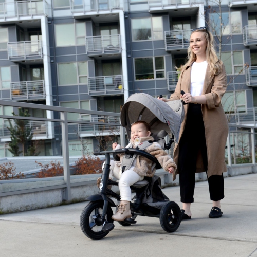 Rito Plus Folding Stroller/ Trike - Grey