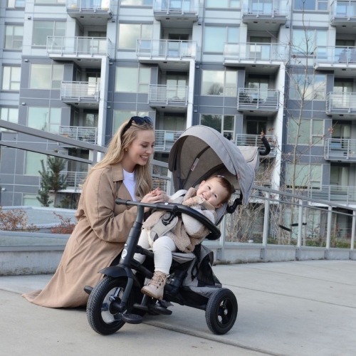 Rito Plus Folding Stroller/ Trike - Grey