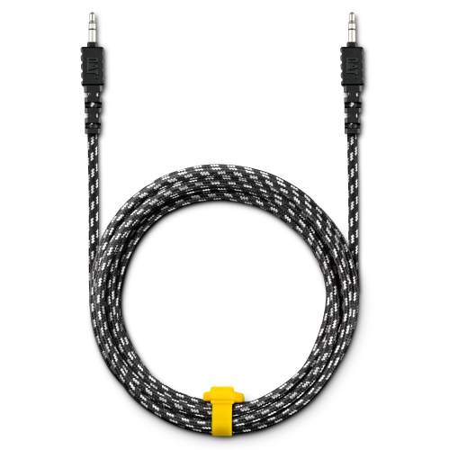 CAT 10' Aux Cable