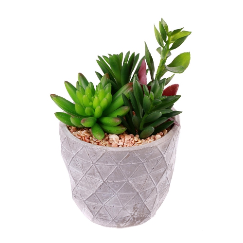 LIVINGbasics Decorative Plastic Artificial Plant, Succulent in Grey Cement Pot