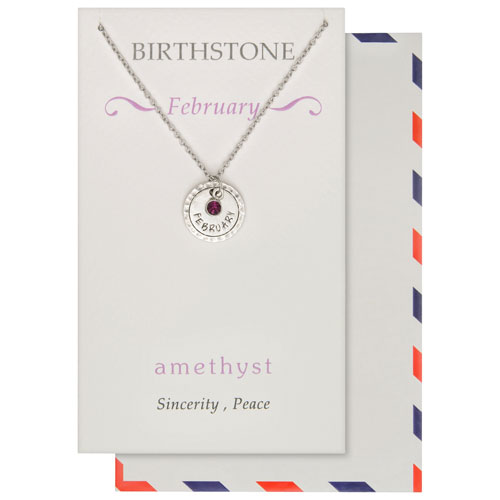 Save the Moment February Birthstone Pendant in Pewter on an 18" Stainless Steel Chain
