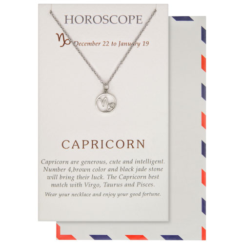 Save the Moment Capricorn Pendant in Pewter on an 18" Stainless Steel Chain