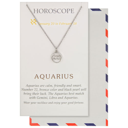 Save the Moment Aquarius Pendant in Pewter on an 18" Stainless Steel Chain