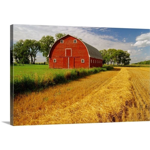 Dave Reede Premium Thick Wrap Canvas Wall Art Print 36 X24